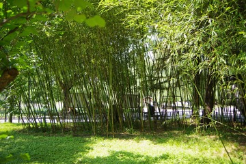 独乐寺-2