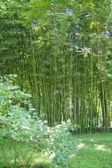独乐寺-3