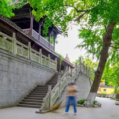 9795BCD3-58CE-46D8-B78B-396AF3263A3F/L0/001