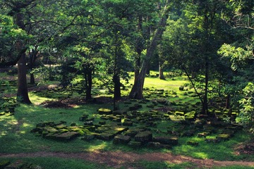 IMG_3509_edit.jpg