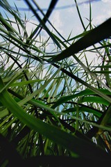 IMG_3556_HDR.jpg