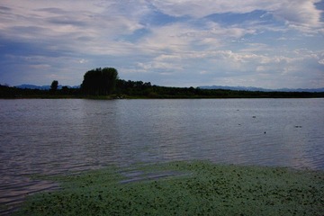 IMG_3596_HDR.jpg