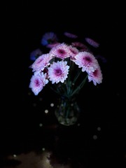 EBAD6988-4A22-4A05-9D2C-067A57026256/L0/001