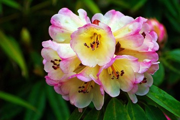 100_0278.JPG