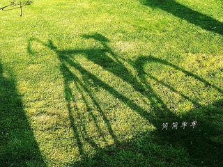 100_0511.JPG