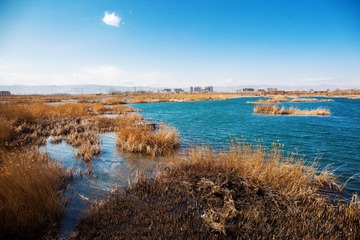 IMG_5708.jpg