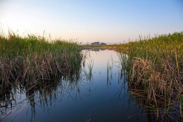 IMG_6207.jpg
