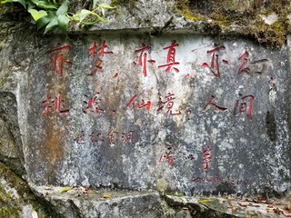 083DB431-6FF3-4500-807F-61B867ED7116/L0/001