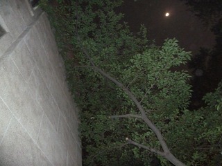 P1000149.JPG