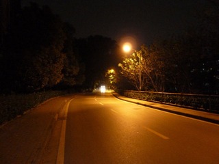 P1000257.JPG