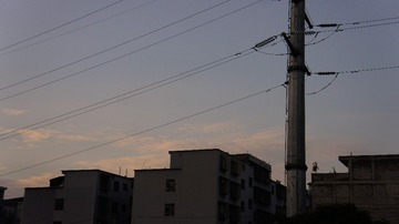 290124