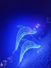 IMG20240503211343