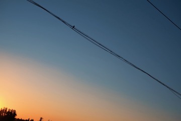 274848