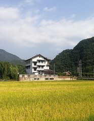 870435