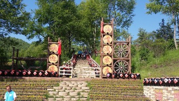 264