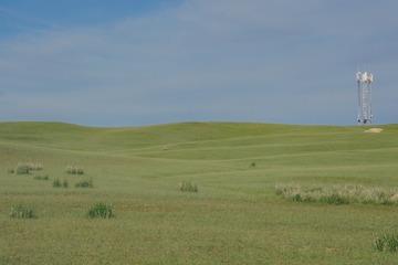 115654F8-D93F-4539-91F7-B55B15F8DF00/L0/001