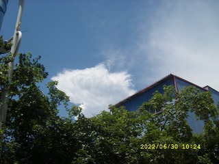 E3C59422-B35C-4129-8700-B069F426E575/L0/001