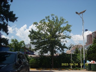 262BCDD6-2515-44B5-9697-CA0428D71752/L0/001