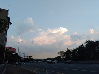 566813