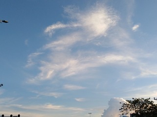 566972