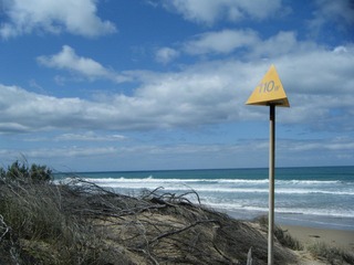 DSCF2419.JPG