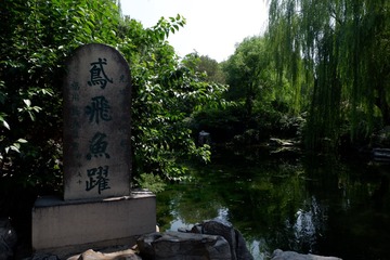 0A7561E9-61A0-419B-97C0-FE73260F29A7/L0/001