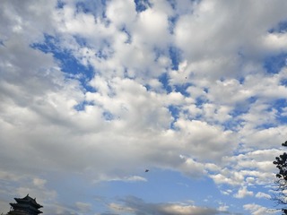 1047862