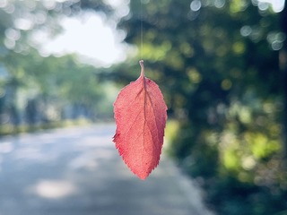 82E429B0-98E1-484C-B998-B90FD098EB7F/L0/001