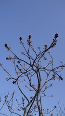 DSC01730.JPG
