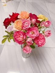 83F78383-4893-4E28-9DD0-427E81BDEF70/L0/001