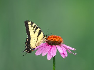 527E56CB-3E7F-4237-8BC9-C78BF0945B58/L0/001