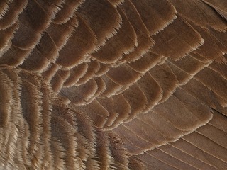 01206599-69CA-45BF-B1E8-5EF4D12E3FF7/L0/001