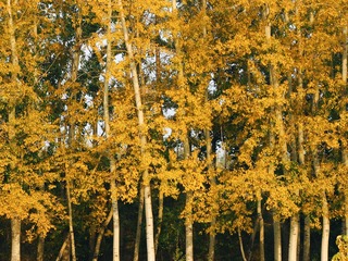 789025