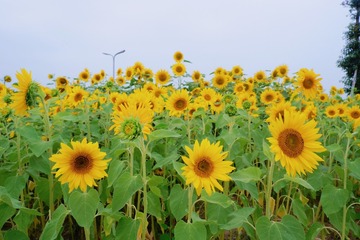 603F1A7F-2F79-4C57-A16B-3E9E2C827069/L0/001