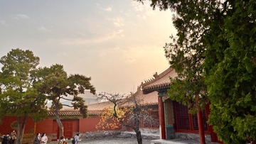 10081A42-A9CA-475F-A68F-D3516295DE0A/L0/001
