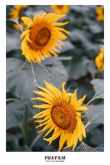 7C90F003-5E9D-4B91-BBF1-B7FA528197B0/L0/001