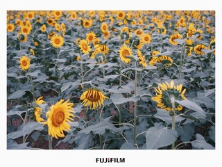 D1312E0F-FE62-451D-9F5C-C4F6E85BC60B/L0/001