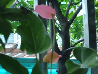 DSC01091.JPG