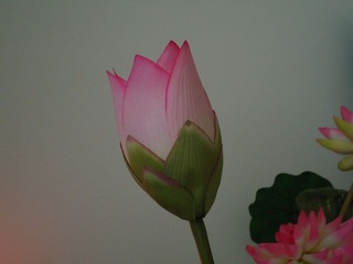 DSC01095.JPG