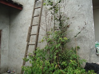 DSC01326.JPG