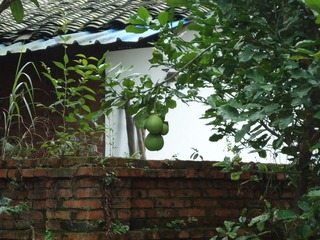 DSC01344.JPG