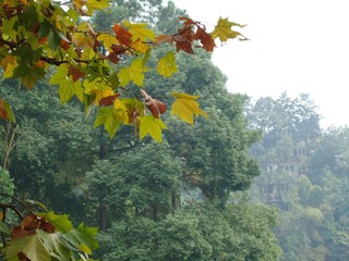 DSC01501.JPG