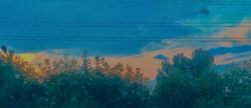 C2BB5E7F-7411-4720-B98D-F9F08B2F9E7B/L0/001