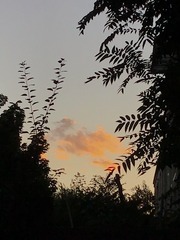 217F1A26-B14E-49A8-89AA-2FF2AF7D2392/L0/001