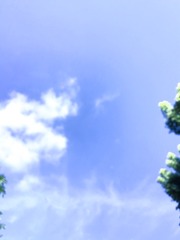 74642188-7FCC-4BBE-BAE3-2472B0DAC84F/L0/001