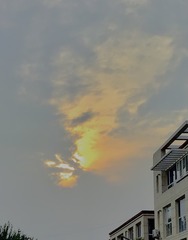 5B95A884-367C-489C-97A5-F04E254956A5/L0/001