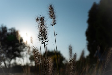 5E76A4BB-9A6C-43D8-BA1E-EC2215612D16/L0/001