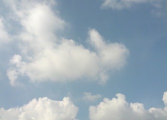 847D07F8-9F88-415E-B02D-23A83423E8F6/L0/001