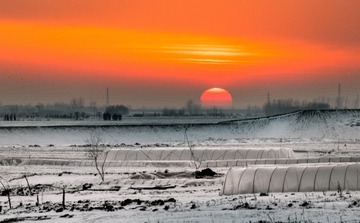 060F59C2-3654-425F-B174-0B7B58F51CCA/L0/001
