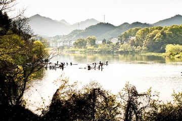 怡之景.jpg